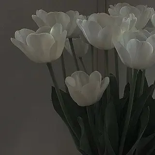 feliz eyelash所属・おざき ゆきののマツエク・マツパデザイン