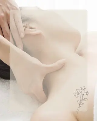 めぐらせの 森のその他イメージ