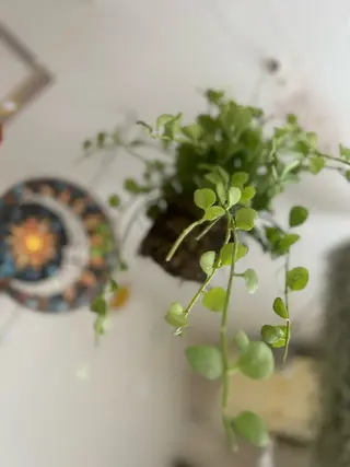 Bodyサロン 高森かずさ◎完全個室のエステ・リラクイメージ