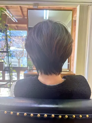 ショート 羽鳥 美穂のヘアスタイル