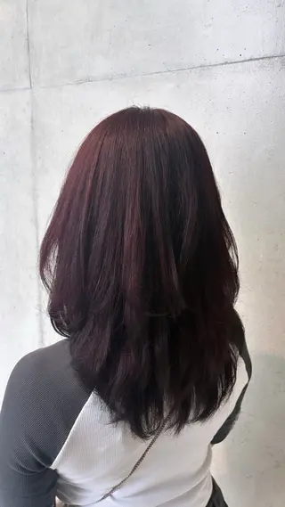 セミロング カラー ヘアアレンジ 🦋似合わせカラー 艶髪🦋Rinaのヘアスタイル