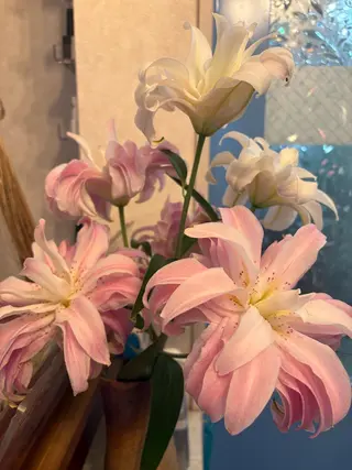 ネイル Nail Salon HARUのネイルデザイン