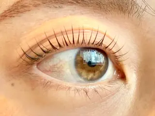 マツエク・マツパ eyelashsalonRACOTA所属・Matsumoto /まつ毛パーマの眉毛・アイブロウイメージ