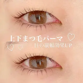 マツエク・マツパ FOXY LASH Miyamotoのマツエク・マツパデザイン