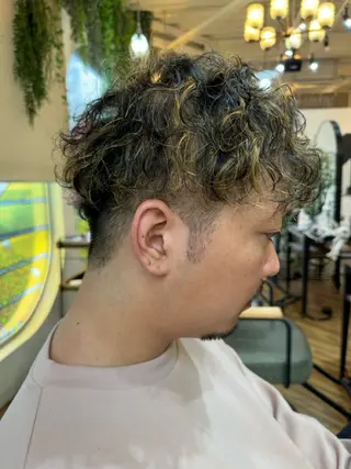 ショート パーマ 加藤 大河のヘアスタイル