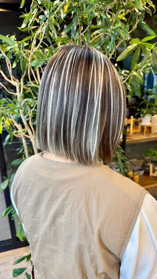 ショート カラー Cure2所属・🌈白いハイライト 🌈 🐶ノザワ🐶のヘアスタイル