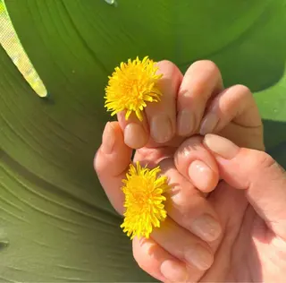 ネイル Heho nailのネイルデザイン