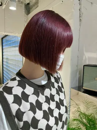 ショート カラー 🔥ボブ／レイヤー／ shingoのヘアスタイル