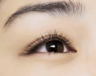 マツエク・マツパ 【マツエク・まつげパーマ・アイブロウ】MyALL新宿東口店所属・My ALL　新宿店 ミニモ予約専用の眉毛・アイブロウイメージ