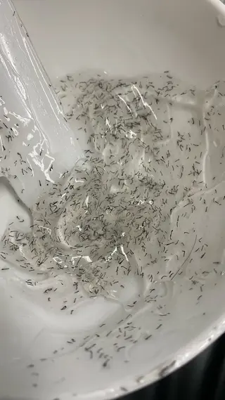 メンズ ヘアーサロンいしざわ所属・いしざわ /メンズ脱毛サロンのエステ・リラクイメージ