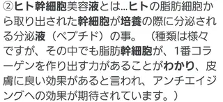 マツエク・マツパ SG アイラッシュ ラッシュリフトのその他イメージ