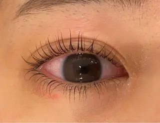 マツエク・マツパ Daisy lash 京橋店堀井のマツエク・マツパデザイン