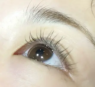 マツエク・マツパ 🕊ユメノ🕊まつパ 特別価格あり☁️のマツエク・マツパデザイン