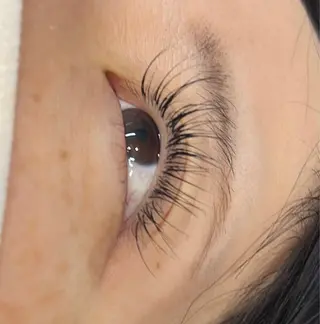 マツエク・マツパ MAQUIA蒲田店 横山のマツエク・マツパデザイン