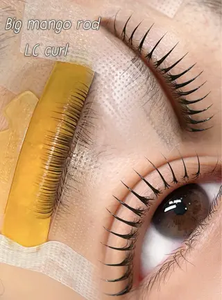 マツエク・マツパ 🦋Richelle beauty🦋のマツエク・マツパデザイン