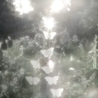 🎀マリーテレジア OKAZAWA🎀のマツエク・マツパデザイン