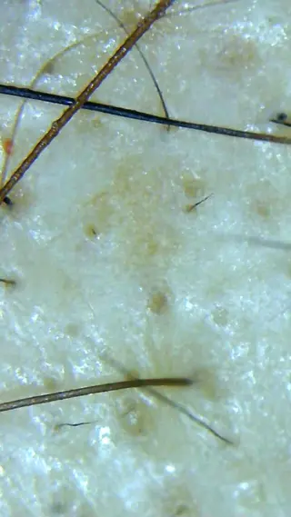 セントラル鍼灸院 Re:laxyのエステ・リラクイメージ