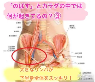 ショート カラー パーマ ヘアアレンジ メンズ キッズ ネイル マツエク・マツパ ‍痩身＆ボディ 結果出し🌟丹野のエステ・リラクイメージ