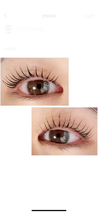 マツエク・マツパ Adorer(アドレ)所属・Adorer 🍀アドレ🍀のマツエク・マツパデザイン