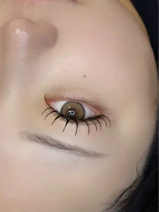 マツエク・マツパ eclipse eyelashのマツエク・マツパデザイン