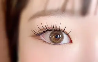 マツエク・マツパ eyelash salon  CARIN所属・CARIN 柏木のマツエク・マツパデザイン