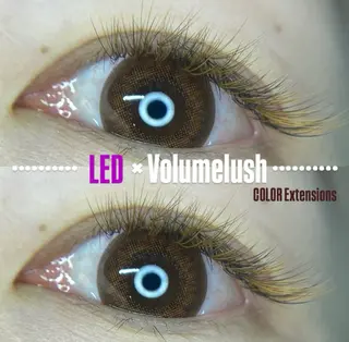 マツエク・マツパ LEDエクステ専門店 Fedis 京橋のマツエク・マツパデザイン