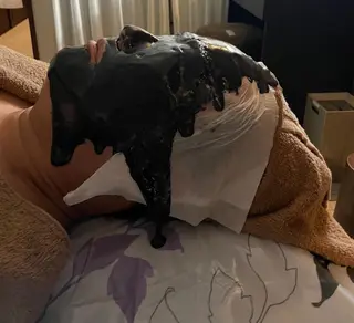 FALgar モカのエステ・リラクイメージ