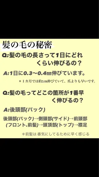 カラー ニスル　町田店所属・似合わせカットカラー 望月一生のヘアスタイル