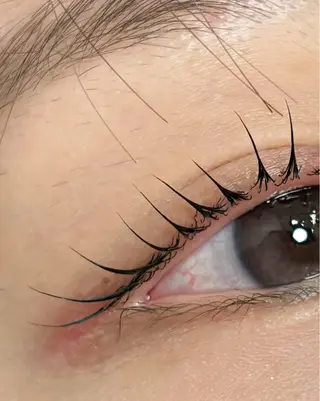 マツエク・マツパ 垢抜け眉WAX専門 ちゅるんまつげ|鎌倉の眉毛・アイブロウイメージ