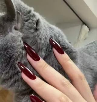 ネイル ヤマ モトのネイルデザイン