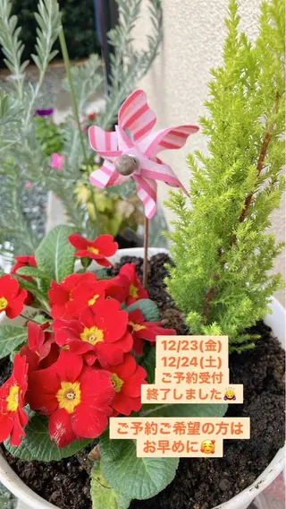 メナード熊本 嘉島のエステ・リラクイメージ