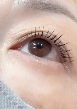 マツエク・マツパ MAQUIA 大場のマツエク・マツパデザイン