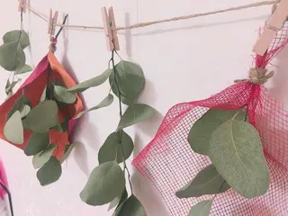 メナード熊本 嘉島のエステ・リラクイメージ