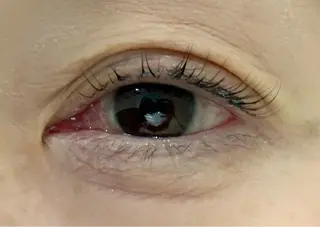 マツエク・マツパ tres AYANEのマツエク・マツパデザイン