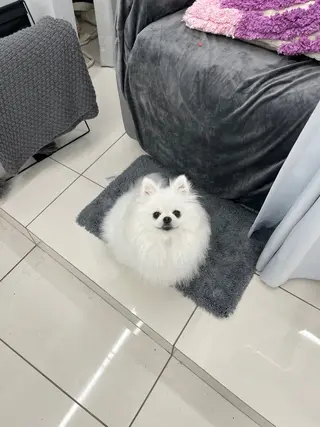 マツエク・マツパ Le Cheriss karinのマツエク・マツパデザイン