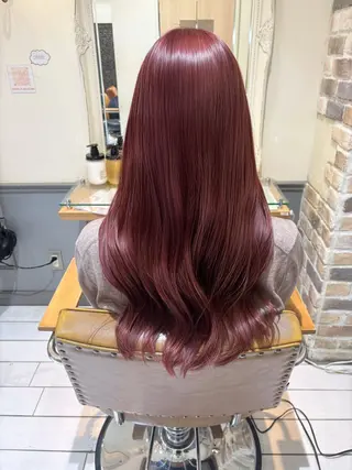 ロング カラー Noel .⋆𝜗𝜚のヘアスタイル