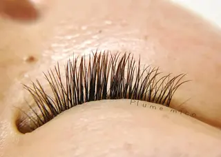 マツエク・マツパ Plume micoのマツエク・マツパデザイン