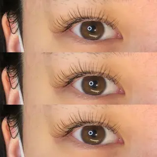 マツエク・マツパ CAMELLIA カメリアのマツエク・マツパデザイン