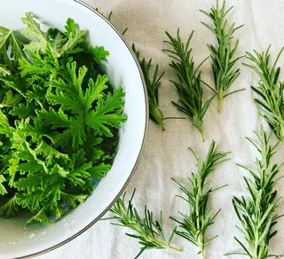 Balance  Therapies所属・東大阪初リメディアル Hiromiのエステ・リラクイメージ