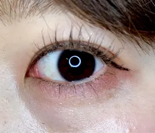 マツエク・マツパ 《eyelash ｉｉｔｅ》森のマツエク・マツパデザイン