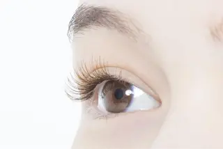 マツエク・マツパ 川野 莉子の眉毛・アイブロウイメージ