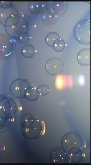 ブラウン/静岡/髪質 改善/大人可愛い🐰のマツエク・マツパデザイン