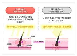 Lino 《リノ》のエステ・リラクイメージ