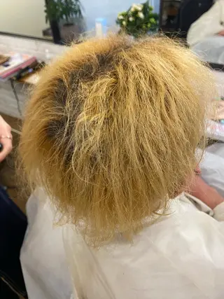 ショート 齋藤 リクのヘアスタイル