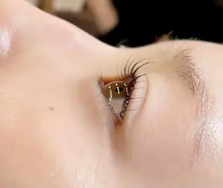 マツエク・マツパ minimo EYELA 三浦のマツエク・マツパデザイン