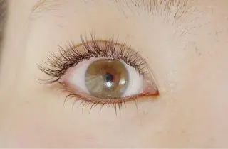 マツエク・マツパ Lotus.所属・Lotus. makoのエステ・リラクイメージ