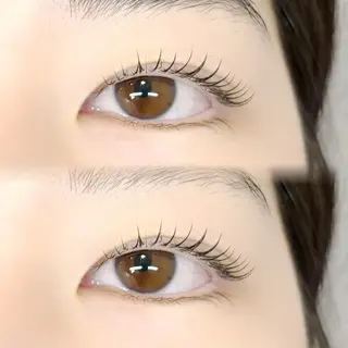 ãããšã¯ã»ããã TOP æåŠ»ã®ãããšã¯ã»ããããã¶ã€ã³