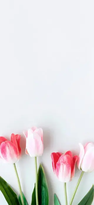 TIÁM eyelashのマツエク・マツパデザイン