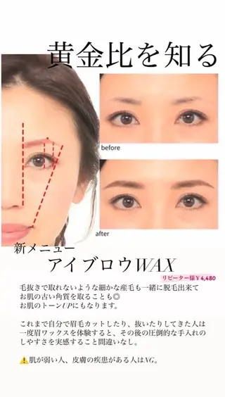 アイブロウ マリーテレジア SHIMODATEのマツエク・マツパデザイン