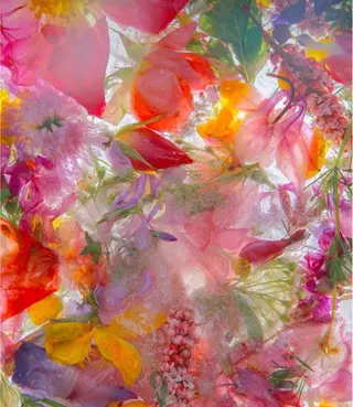 Bless hair &spa所属・🫧縮毛矯正／カラー ／bless松浦🫧のヘアスタイル